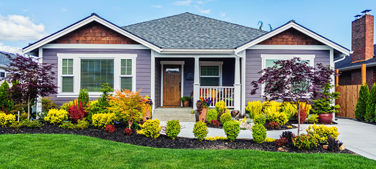 6 Affordable Landscaping Solutions for Homeowners