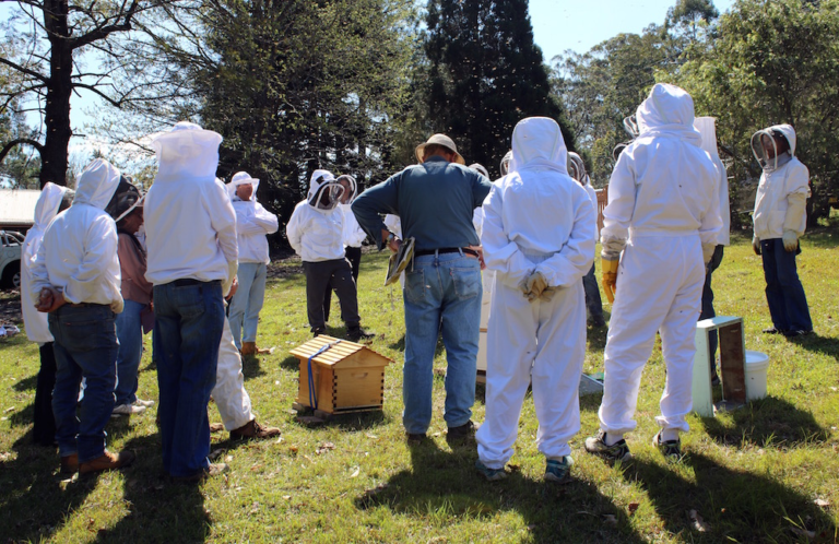 Bee keeping Suits: A Beekeeper’s Ultimate Protection and Confidence