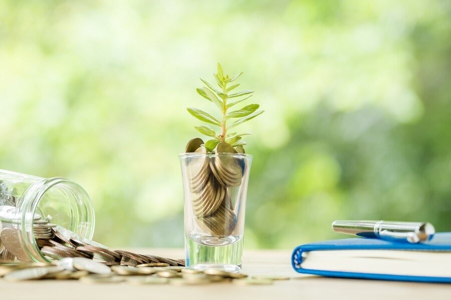 Top Industries to Invest in New Zealand for 2025