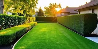 Turf Landscaping: The Ultimate Guide to a Beautiful and Low-Maintenance Lawn