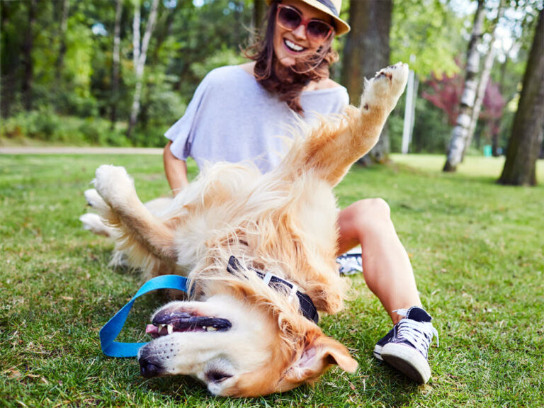 From Boardroom to Belly Rubs: Thriving in Business and Pet Parenthood