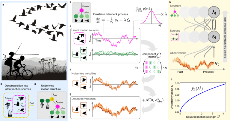Visual System