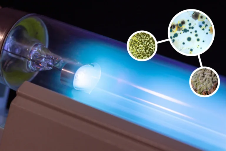 How to Choose the Best UV-A Detector for Visual Microbial Inspection