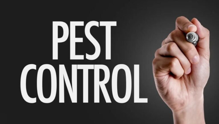 Why Businesses Need Quarterly Pest Control Services