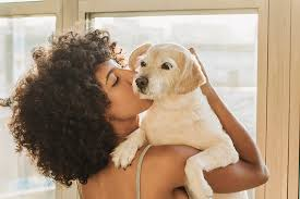 Starting Strong with Your New Dog: Essential Tips for First-Time Owners