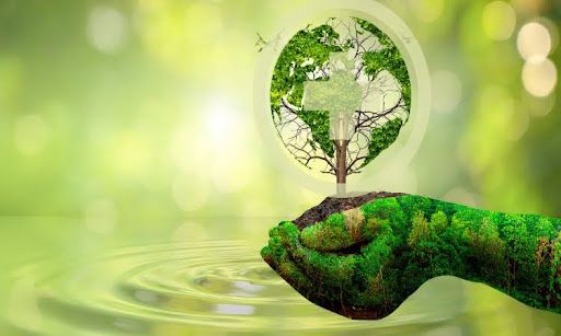 What Is Environmental Sustainability? Goals, Strategies, and Industry Examples