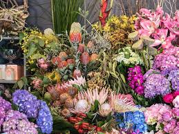 Elegant Blooms: Inside The Finest Flower Shops In Sydney